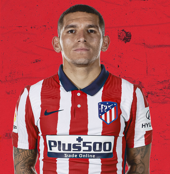 Torreira