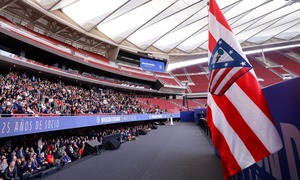 Insignias de plata 1