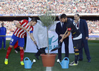 Temp. 2015-2016 | Atlético de Madrid-Sevilla | Olivo de la Paz