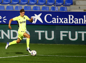 Llorente de amarillo